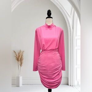 Pink long-sleeved dress with ruched detailing. Mock neck. Size small. Never worn